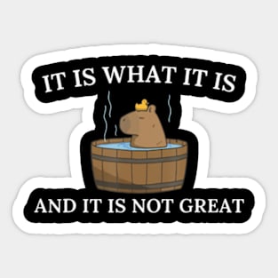 Capybara It Is What It Is And It Is Not Great Sticker